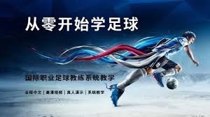 浙江外援朴镇燮在中超首战替补待命引关注